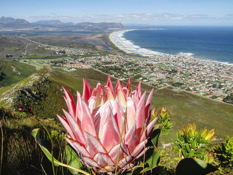 Commercial Property for Sale in Kleinmond Western Cape